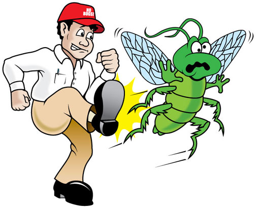 rovarok elleni védekezés, szúnyog riasztás, bolha riasztás, bolha űzés, molyok űzése, molyok ellen, legyek űzése, legyek ellen, svábbogarak űzése, svábbogarak ellen, hangyák űzése, hangyák ellen, zsizsik ellen, lisztmoly ellen, lisztmoly űzése, zsizsik űzése, csótány ellen, csótány űzése, egészséges életmód, bio rovarriasztás